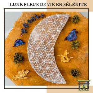 Lune Fleur De Vie En Sélénite